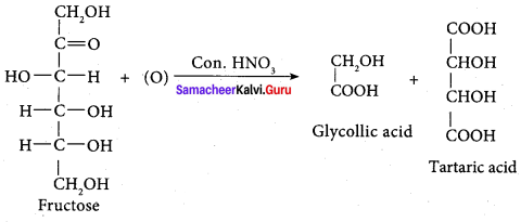 Samacheer Kalvi 12th Chemistry Solutions Chapter 14 Biomolecules-69