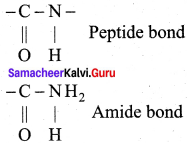 Samacheer Kalvi 12th Chemistry Solutions Chapter 14 Biomolecules-78