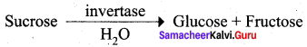 Samacheer Kalvi 12th Chemistry Solutions Chapter 14 Biomolecules-79