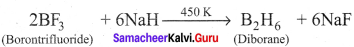 Samacheer Kalvi 12th Chemistry Solutions Chapter 2 p-Block Elements - I img-11