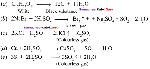Samacheer Kalvi 12th Chemistry Solutions Chapter 3 p-Block Elements - II img-76