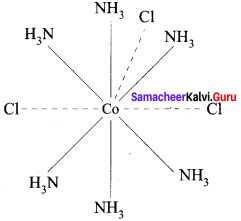 Samacheer Kalvi 12th Chemistry Solutions Chapter 5 Coordination Chemistry-11
