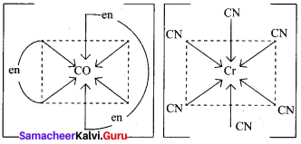 Samacheer Kalvi 12th Chemistry Solutions Chapter 5 Coordination Chemistry-2