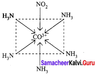 Samacheer Kalvi 12th Chemistry Solutions Chapter 5 Coordination Chemistry-25