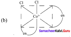 Samacheer Kalvi 12th Chemistry Solutions Chapter 5 Coordination Chemistry-5.1