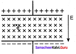 Samacheer Kalvi 12th Physics Solutions Chapter 3 Magnetism and Magnetic Effects of Electric Current-3