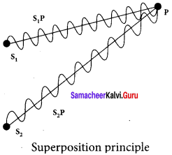 Samacheer Kalvi 12th Physics Solutions Chapter 6 Optics-31