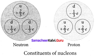 Samacheer Kalvi 12th Physics Solutions Chapter 8 Atomic and Nuclear Physics-22