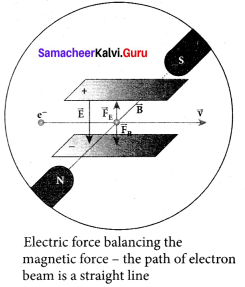 Samacheer Kalvi 12th Physics Solutions Chapter 8 Atomic and Nuclear Physics-5