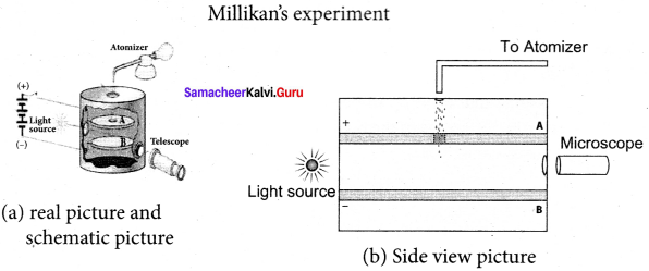 Samacheer Kalvi 12th Physics Solutions Chapter 8 Atomic and Nuclear Physics-8