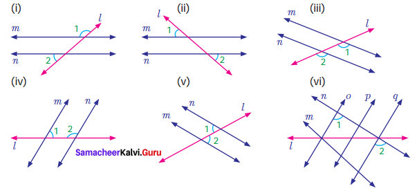 Samacheer Kalvi 7th Maths Solutions Term 1 Chapter 5 Geometry Ex 5.2 1