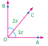 Samacheer Kalvi 7th Maths Solutions Term 1 Chapter 5 Geometry Ex 5.6 1