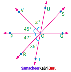 Samacheer Kalvi 7th Maths Solutions Term 1 Chapter 5 Geometry Ex 5.6 80