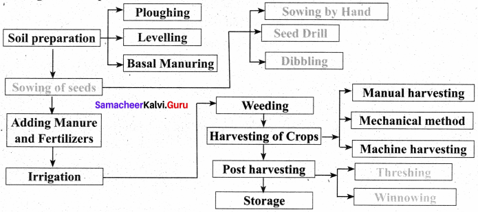 Samacheer Kalvi 8th Science Solutions Term 3 Chapter 7 Crop Production and Management