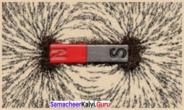 Samacheer Kalvi 8th Science Term 3 Chapter 2 Magnetism