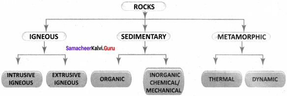 Samacheer Kalvi 8th Social Science Geography Term 1 Solutions Chapter 1 Rock and Soil 5