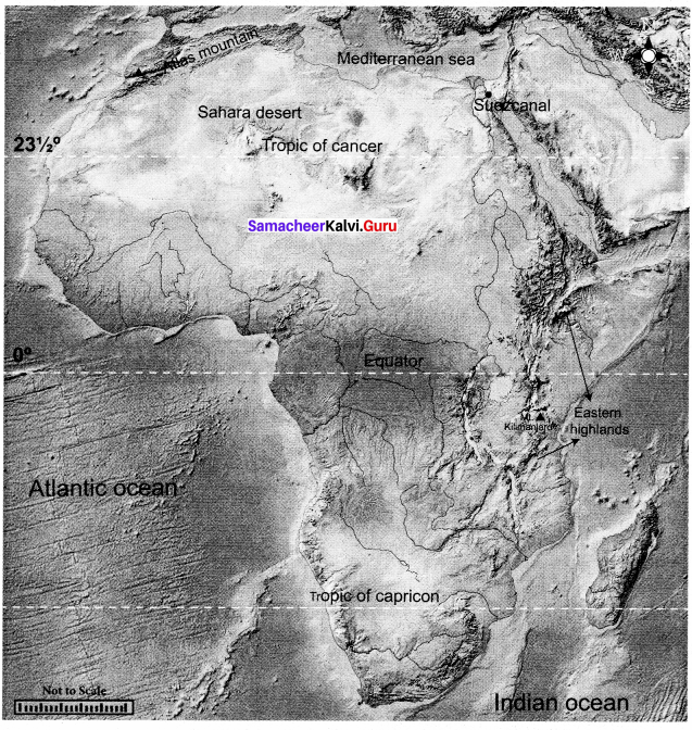 Samacheer Kalvi 8th Social Science Geography Term 3 Chapter 2 Exploring Continents (Africa, Australia and Antarctica) img-1