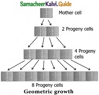 Tamil Nadu 11th Biology Model Question Paper 1 image 2