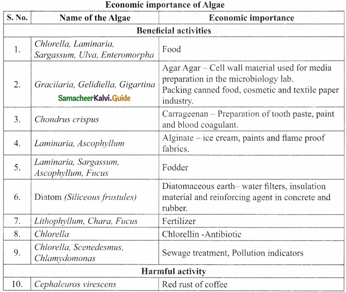 Tamil Nadu 11th Biology Model Question Paper 3 image 3
