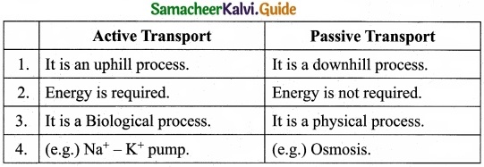 Tamil Nadu 11th Biology Model Question Paper 5 image 1
