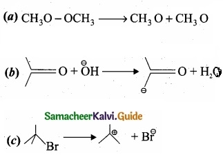 Tamil Nadu 11th Chemistry Model Question Paper 3 English Medium img 13