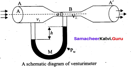 Tamil Nadu 11th Physics Model Question Paper 1 11