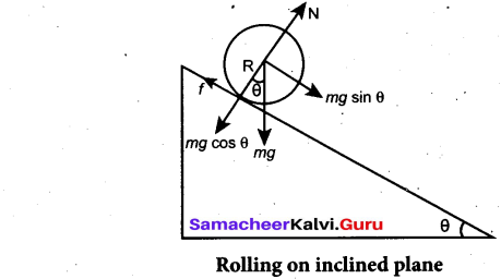 Tamil Nadu 11th Physics Model Question Paper 1 21