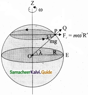 Tamil Nadu 11th Physics Model Question Paper 1 English Medium img 11