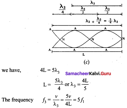 Tamil Nadu 11th Physics Model Question Paper 2 English Medium 24