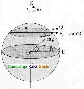 Tamil Nadu 11th Physics Model Question Paper 2 English Medium img 13