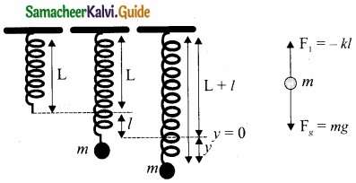 Tamil Nadu 11th Physics Model Question Paper 3 English Medium img 12