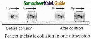 Tamil Nadu 11th Physics Model Question Paper 3 English Medium img 15