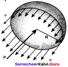 Tamil Nadu 11th Physics Model Question Paper 5 English Medium 10