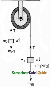 Tamil Nadu 11th Physics Model Question Paper 5 English Medium img 17