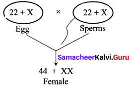 Samacheer Kalvi 10th Science Model Question Paper 4 English Medium image - 4