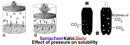 Samacheer Kalvi 10th Science Model Question Paper 5 English Medium image - 15