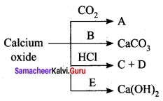 Samacheer Kalvi 10th Science Solutions Chapter 10 Types of Chemical Reactions 21