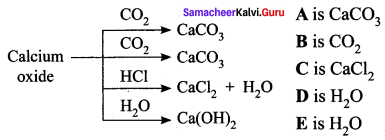 Samacheer Kalvi 10th Science Solutions Chapter 10 Types of Chemical Reactions 22
