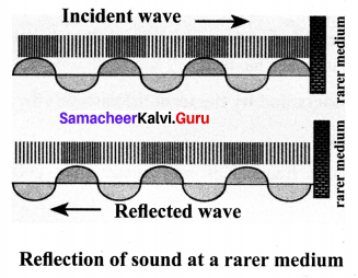 Samacheer Kalvi 10th Science Solutions Chapter 5 Acoustics 3