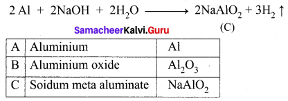 Samacheer Kalvi 10th Science Solutions Chapter 8 Periodic Classification of Elements 12