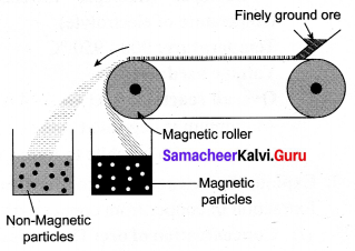 Samacheer Kalvi 10th Science Solutions Chapter 8 Periodic Classification of Elements 21