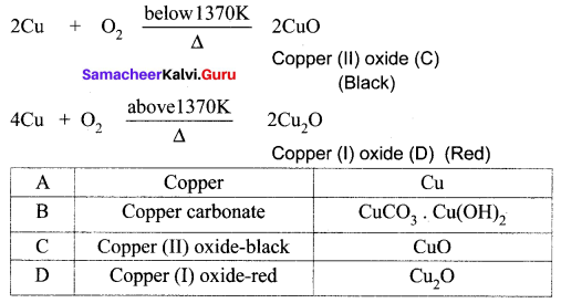 Samacheer Kalvi 10th Science Solutions Chapter 8 Periodic Classification of Elements 31