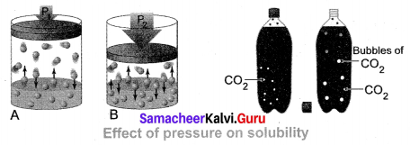 Samacheer Kalvi 10th Science Solutions Chapter 9 Solutions 1
