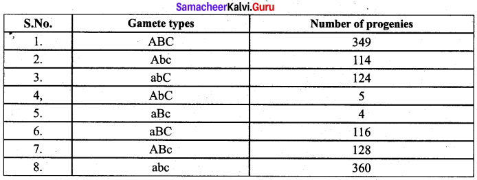 Samacheer Kalvi 12th Bio Botany Solutions Chapter 3 Chromosomal Basis of Inheritance img 4
