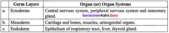Samacheer Kalvi 12th Bio Zoology Solutions Chapter 2 Human Reproduction img 16
