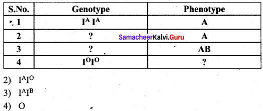 Samacheer Kalvi 12th Bio Zoology Solutions Chapter 4 Principles of Inheritance and Variation img 17