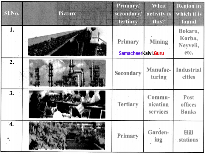 Samacheer Kalvi 6th Social Science Geography Solutions Term 2 Chapter 1 Resources - 5