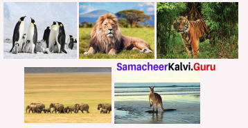 Samacheer Kalvi 6th Social Science Geography Solutions Term 2 Chapter 1 Resources - 6