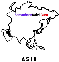 Samacheer Kalvi 6th Social Science Geography Solutions Term 3 Chapter 1 Asia And Europe image - 4