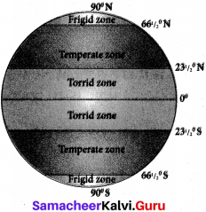 Samacheer Kalvi 6th Social Science Geography Solutions Term 3 Chapter 2 Globe image - 4